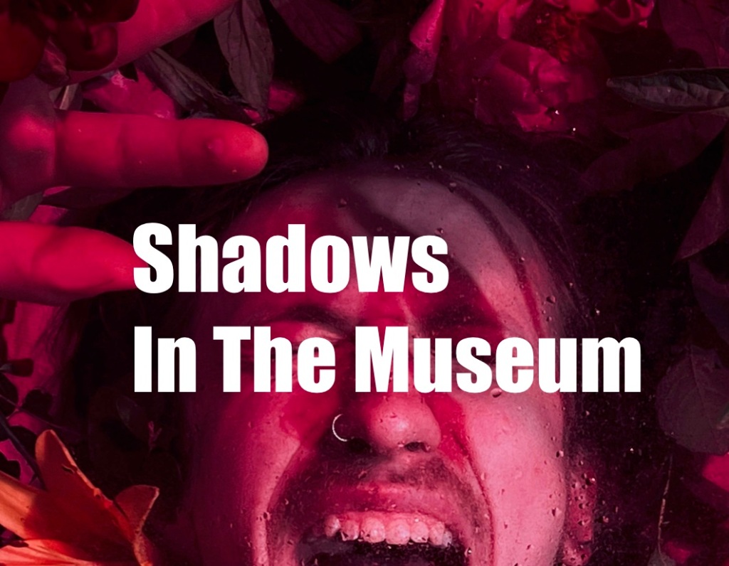 Shadows In The Museum